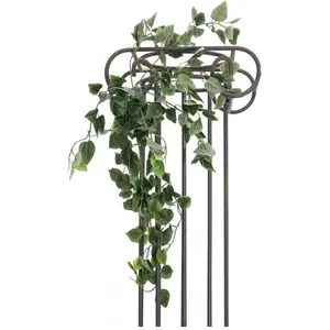 Europalms Filodendro Boeuf classique, 60 cm, vert pas cher