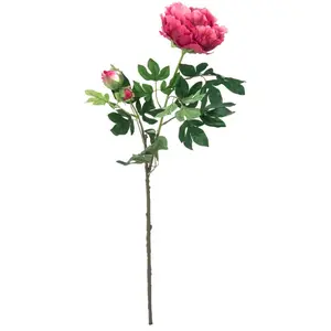 Europalms, Plantes artificielles, Branche de pivoine Premium, plante a... pas cher