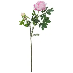 Europalms Bouquet de Pivoine, Rose, 100 cm, Multicolore, Taille Unique pas cher