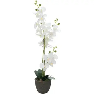 Europalms, Plantes artificielles, Orchidée (80 cm)Vendu pargalaxus