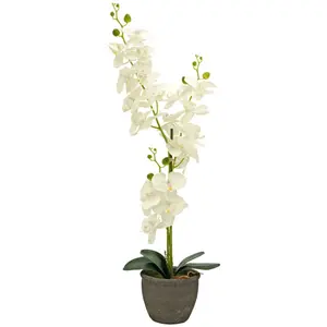 Europalms, Plantes artificielles, Orchidée (80 cm)Vendu pargalaxus