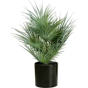 EUROPALMS Palmier éventail, plante artificielle, 55 cm, jeune palmier ...Vendu pargalaxus
