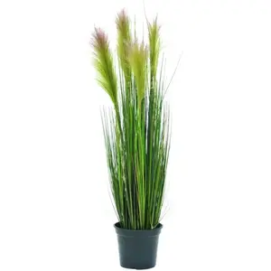 Europalms 61262 Plante de Décoration Feathergras Rosé 90 cmVendu pargalaxus