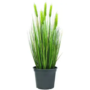 Europalms 61263 Plante de Décoration Blé d'Eté Tôt Vert 60 cmVendu pargalaxus