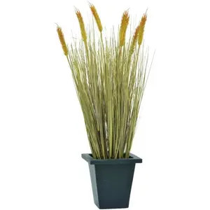 Europalms, Plantes artificielles, Blé prêt à être récolté (60 cm)Vendu pargalaxus