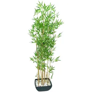 Europalms 61331 Bambou dans Bowl, 150cm, VertVendu pargalaxus