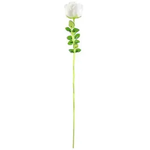 Europalms 82600208 Crystal Rose Blanc 81 cmVendu pargalaxus