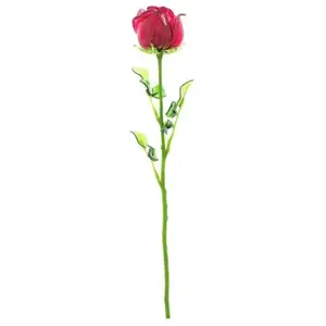 Europalms 82600209 Crystal Rose Bordeaux 81 cmVendu pargalaxus