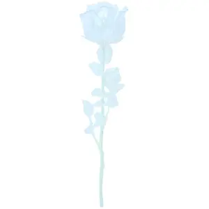 Europalms 82600210 Crystal Rose, Clear, 81 cm12XVendu pargalaxus