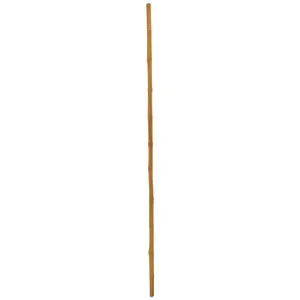 Europalms, Plantes artificielles, Canne de bambou, Ø=3cm, 200cm pas cher