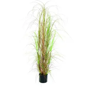 Europalms 61435 Herbe Brousse, 150cm, VertVendu pargalaxus