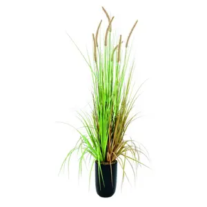 Europalms, Plantes artificielles, Herbe à lampions, artificielle, 120c... pas cher