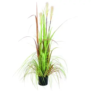 Europalms 61431 Croissance Sauvage Vert 120 cm pas cher