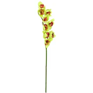 Europalms 61385 Plante de Décoration Cymbidiumspray Vert 90 cmVendu pargalaxus