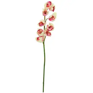Europalms 61383 Plante de Décoration Cymbidiumspray Crème/Rose 90 cmVendu pargalaxus