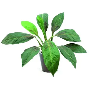 Europalms 61308 Plante de Décoration Sagou Palm Vert 45 cmVendu pargalaxus