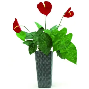 Europalms 61378 Plante de Décoration Anthurium Vert 70 cmVendu pargalaxus