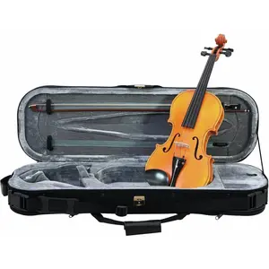 Dimavery 059395 Violon Moyen Grade 4/4