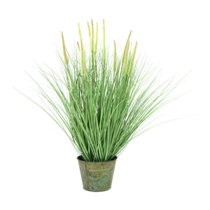 Europalms Herbe ornementale, Floraison, 70 cm, Multicolore, Taille Unique pas cher