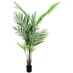 Europalms Areca Palmier 165 cm, avec Motif Feuilles VertVendu pargalaxus