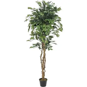 Europalms 61270 Ficus Multi-Tronc, 180cm, VertVendu pargalaxus