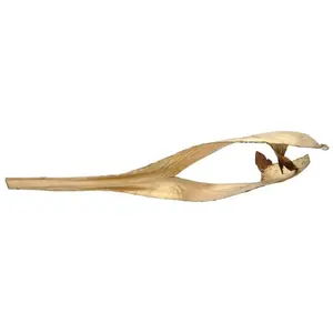 Europalms 83502362 Palm Leaf, Dried, Gold, Multicolore, Taille unique
