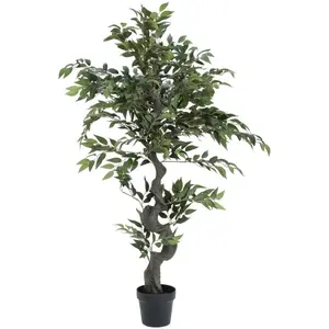 Europalms Ficus Arbre de Forêt 110 cm pas cher