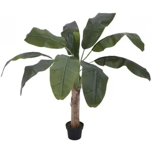 Europalms 82509503 Banana Arbre 100 cm Multicolore Taille UniqueVendu pargalaxus