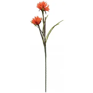 Europalms 82532006 Dahlie (Eva), Orange, 100 cm, Orange, Taille Unique pas cher