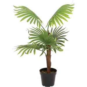 EUROPALMS Palmier éventail, plante artificielle, 88 cm | Palmier en éventail avec grandes plumeaux en plastiqueVendu pargalaxus