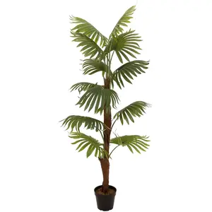 Eurolite EUROPALMS Fan palm, plante artificielle, 155 cmVendu pargalaxus