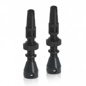 Comparateur de prix : Schwalbe Soupapes Presta Tubeless 60 Mm 2 Unités