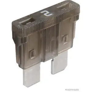 HERTH+BUSS ELPARTS Fusible (de voiture) (Ref: 50295402066)