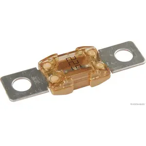 HERTH+BUSS ELPARTS Fusible (de voiture) (Ref: 50295878)