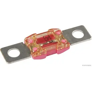 HERTH+BUSS ELPARTS Fusible (de voiture) (Ref: 50295879)