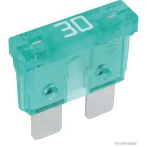 HERTH+BUSS ELPARTS Fusible (de voiture) (Ref: 50295430066)