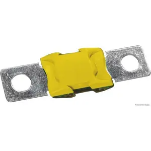HERTH+BUSS ELPARTS Fusible (de voiture) (Ref: 50295870)