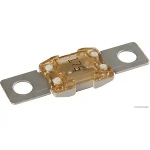 HERTH+BUSS ELPARTS Fusible (de voiture) (Ref: 50295872)