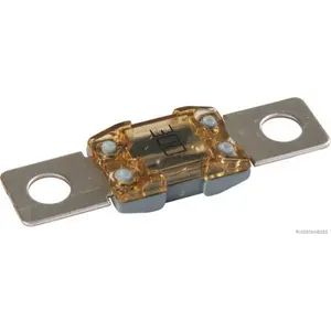 HERTH+BUSS ELPARTS Fusible (de voiture) (Ref: 50295874)