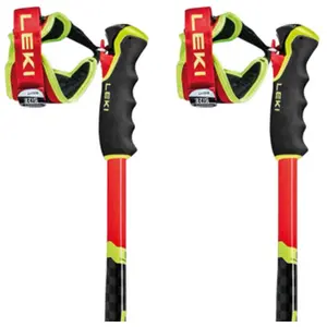 Leki Alpino Bâtons Wcr Sg/dh 3d pas cher