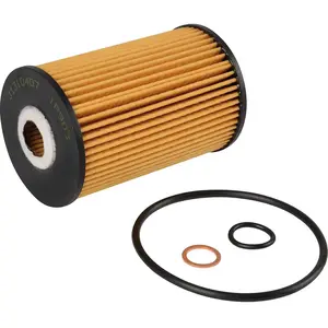 Herth+Buss J1310407 Filtre à huile pas cher