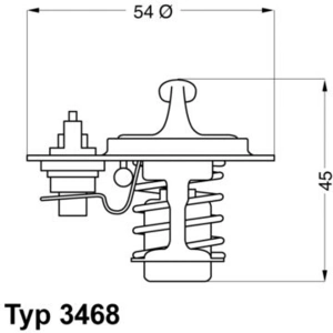 Wahler Thermostaat