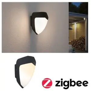 Paulmann, Éclairage d'extérieur, Luminaires Ikosea (560 lm, IP44) pas cher