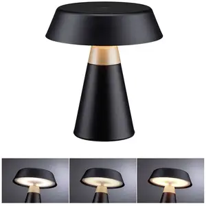 Paulmann Luminaire Rechargeable Lirox Ip44 White Switch Noir#Champagne