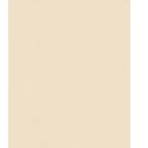 Papier Peint Intissé Uni - HOME MAISON - Ecru - 10 x 0,53 m - Chambre - BeigeVendu parbol