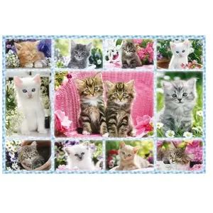 Puzzle Schmidt - Chaton, 100 pièces pas cher