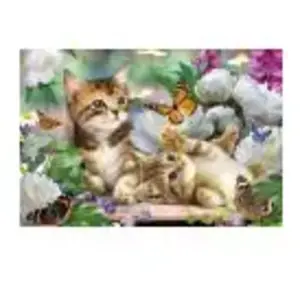 Schmidt Spiele Verspielte Katzenbabys: Kinderpuzzle Standard 150 Teile