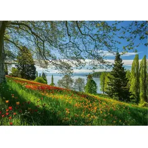 SCHMIDT Puzzle 1000 pièces - Tulipes en fleurs : Île de Mainau pas cher