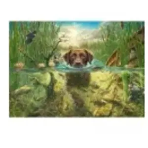 Schmidt Spiele Labrador Chocolat à la Baignade Spiele-58572 pas cher