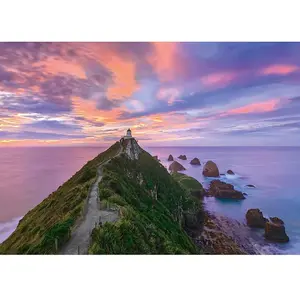 Puzzle Nugget Point Lighthouse, The Catlins, South Island - New Zealan... pas cher
